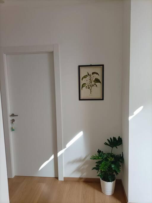 Loving My Rooms 1 - Deliziosa Mansarda In Centro Gorizia Eksteriør billede
